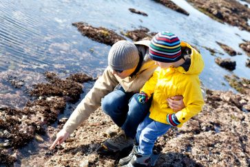 father and son exploring tidepools