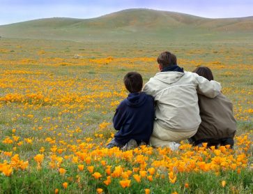 father and sons in poppy field