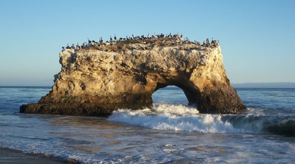 Natural Bridges State Beach, Santa Cruz